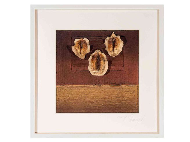 136 Dachpappe, Früchte 53x53cm